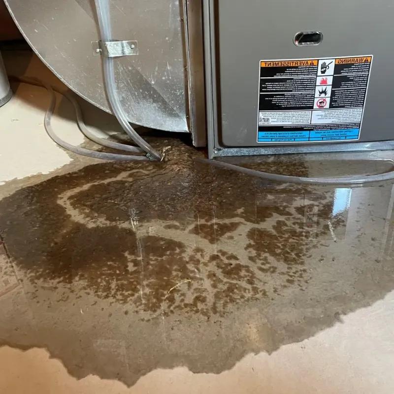 Pipe Burst and Leak Restoration in Fairfield Glade, TN