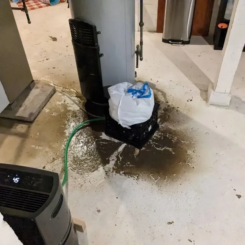 Sewage Backup Cleanup Service in Fairfield Glade, TN